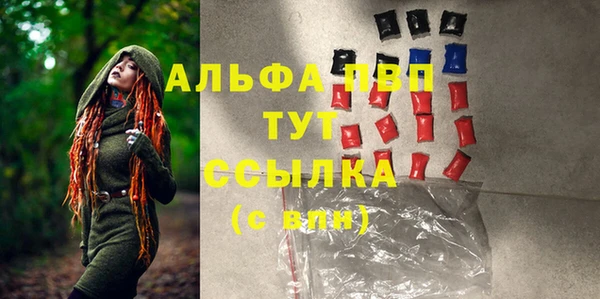 PSILOCYBIN Аркадак