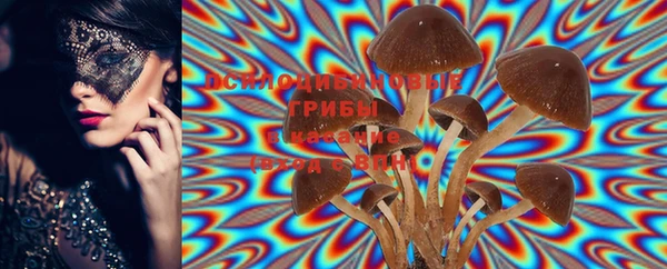 PSILOCYBIN Аркадак