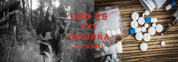 PSILOCYBIN Аркадак