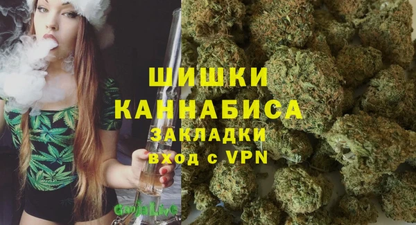PSILOCYBIN Аркадак