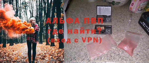 PSILOCYBIN Аркадак